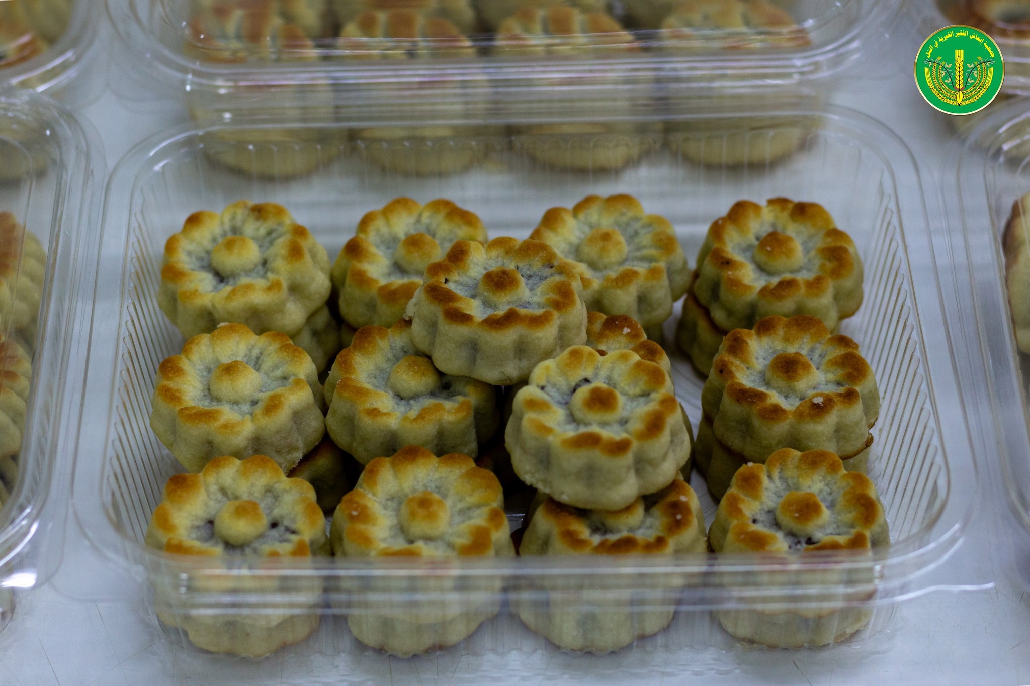 بدء استلام طلبات الطبخ الخارجية.💚✨